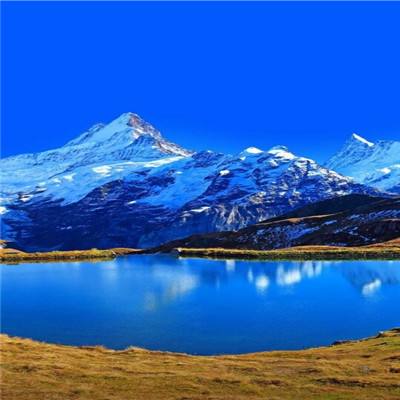 BOB·体育综合APP