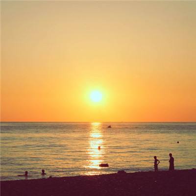 手机最快开奖结果