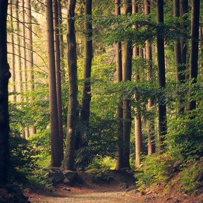 开云集团app下载