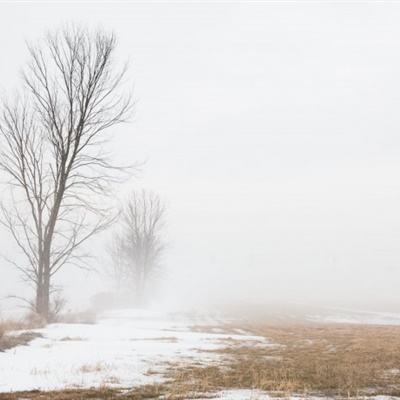 BB贝博平台登录app